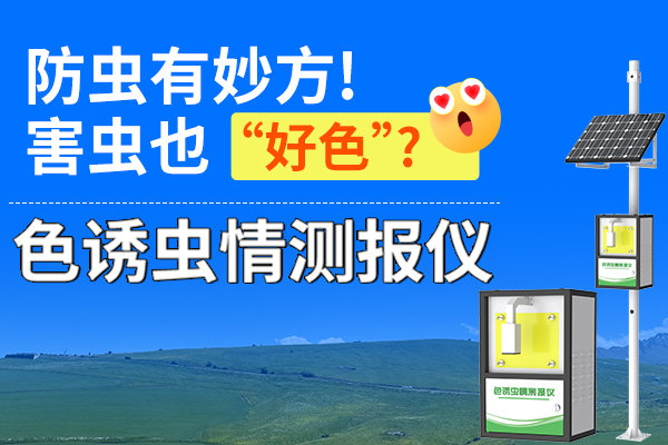 “,色誘,”,技術,助力,物理,防蟲,—,蟲情,測報,儀,不知,大家,有沒有,發(fā)現,為何,穿,黃色,衣服,進,果園,會,沾滿,小蟲,茶園,、,菜園,掛著,黃,綠,藍,各色,